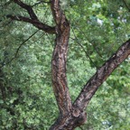 Povoa060.jpg